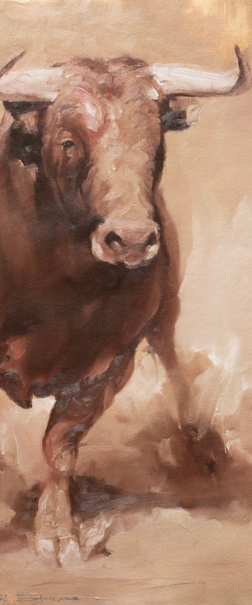 Light & Dust 2 (study) by Zil Hoque