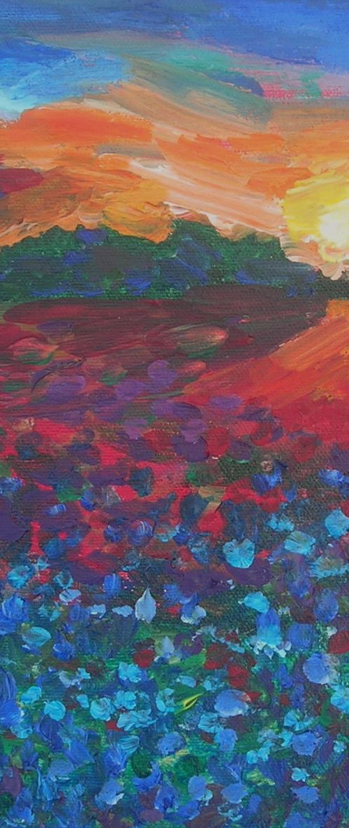 Sunset with a blue field by Maja Grecic