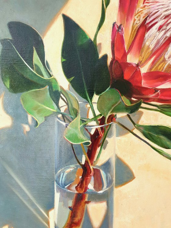 "African rose."  still life summer Protea flower liGHt original painting  GIFT (2020)