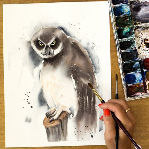 Spectacled owl Original Watercolor Painting by Olga Tchefranov (Shefranov)