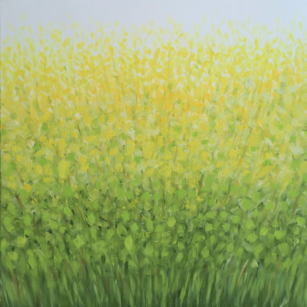 Sunny Day By Elena Mosurak, 20 X 20, Artwork For Sale On Artfinder