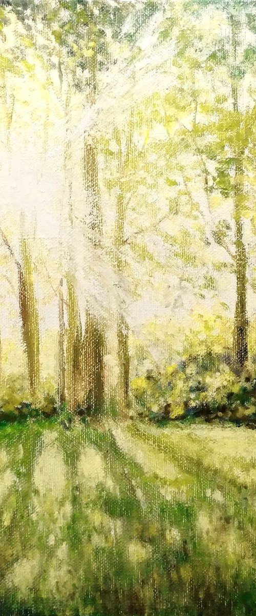 Spring morning 50 x 60 cm by Oleh Rak