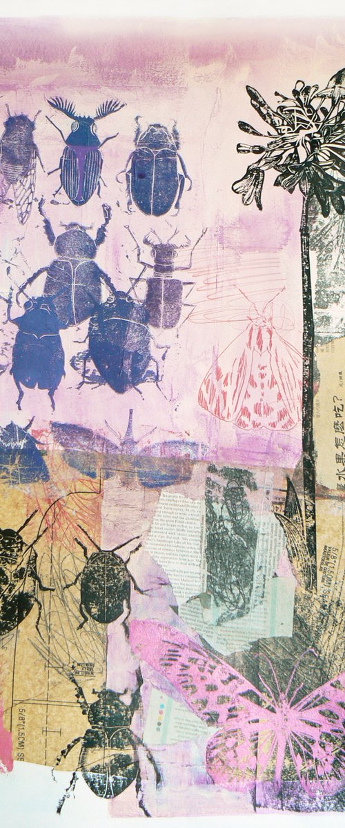 Natural Histories #6 (linocuts printed onto collage) by Carolynne Coulson