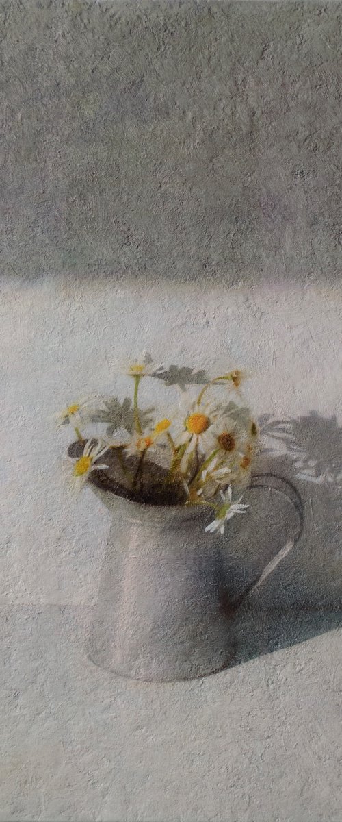 Daisies in the Morning Light by Andrejs Ko