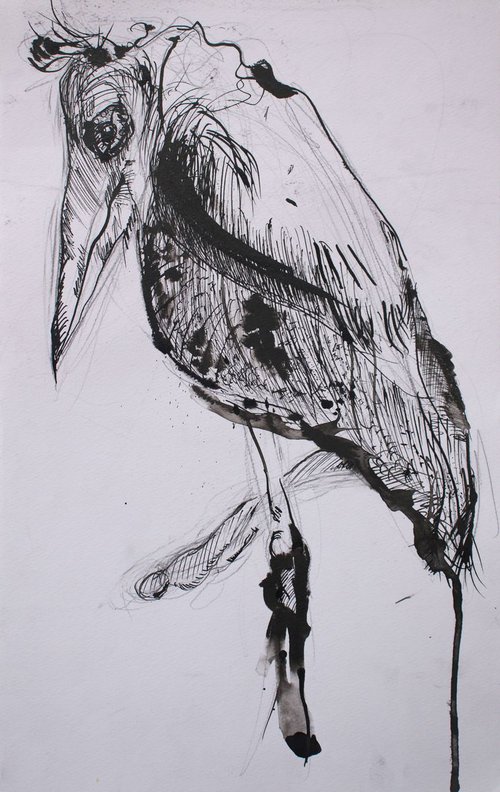 "Raven" by Evgeniq Ivanova