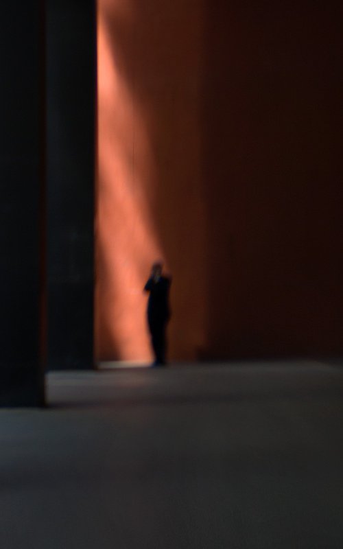 The Scream by Robert Tolchin