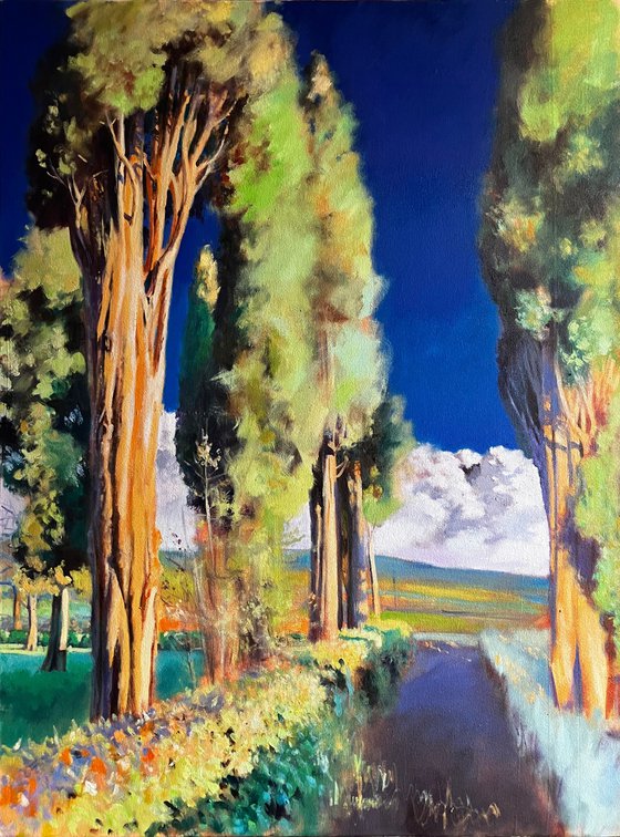 Montalcino 5