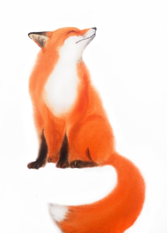 Red Fox - foxy - fox portrait - fox watercolor - fox looks upwards