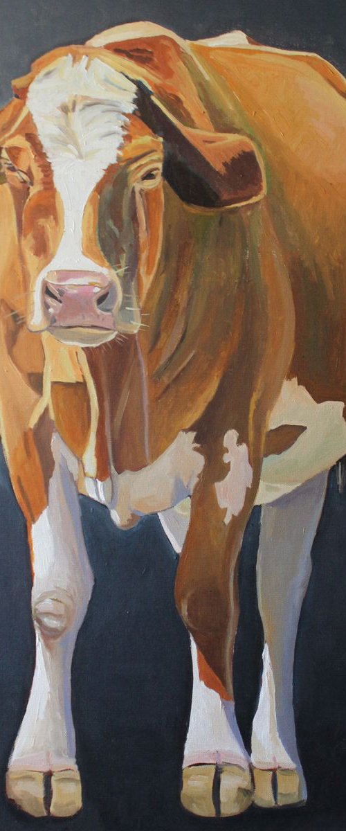 A Cow Standing by Emma Cownie