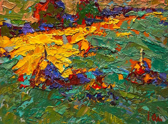 The Last Ray of Sunshine