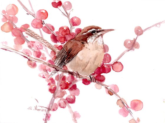 Carolina Wren