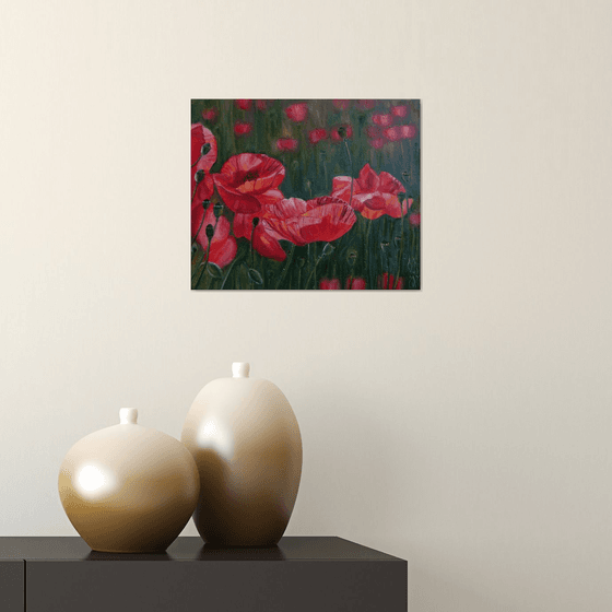 Field of poppies