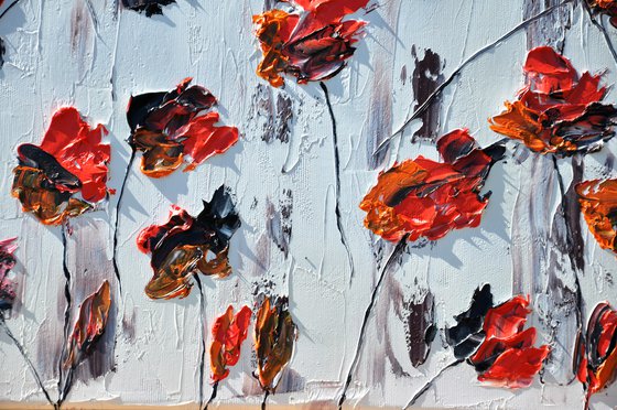 Poppies 3