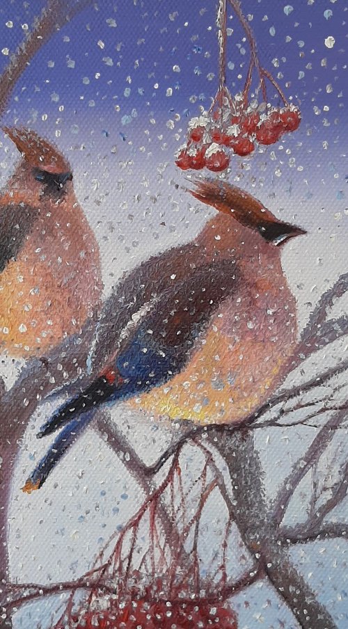 Waxwings by Dmitrij Tikhov