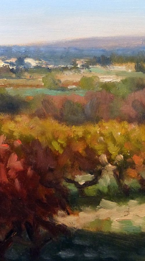Vineyards in Provence by Pascal Giroud