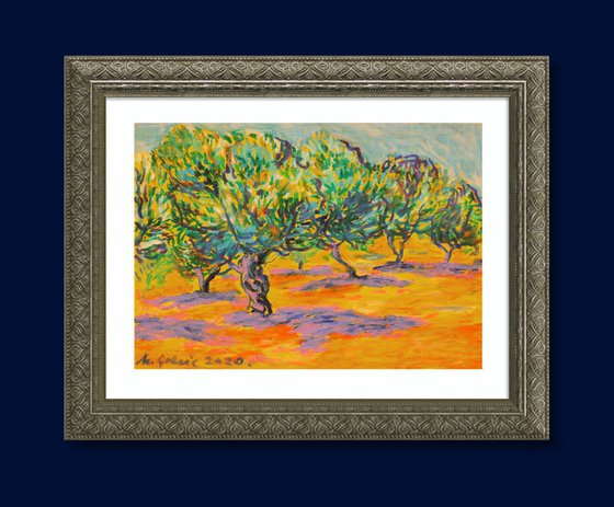 Olive grove No 24