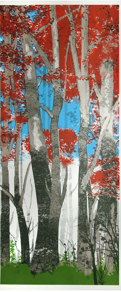 Woodland Birch by Chris Keegan