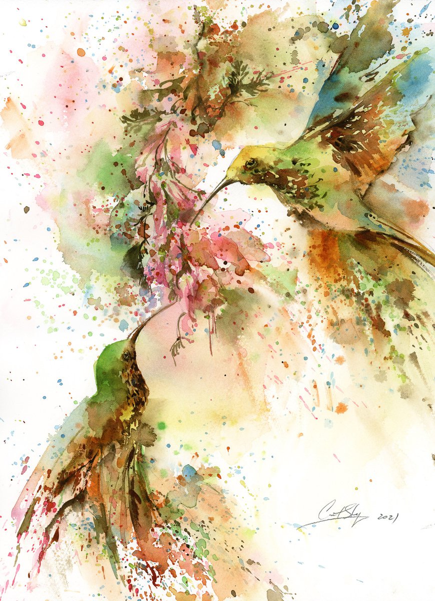 Hummingbirds by Sophie Rodionov