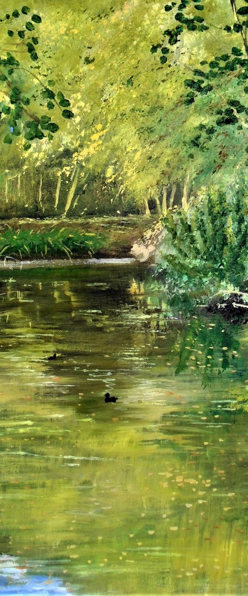 London Wetlands by Rod Bere
