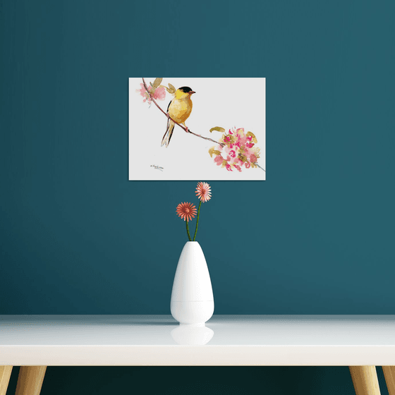 American Goldfinch on the pring tree