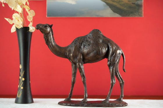 Camel  Bronze Resin sculpture