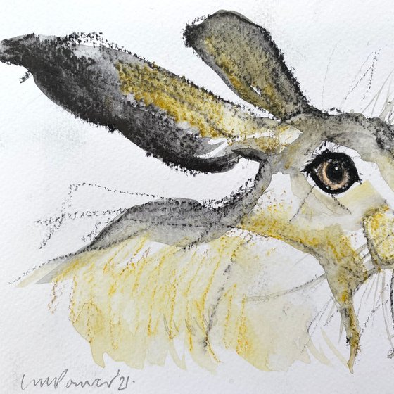 Daisy Hare #08