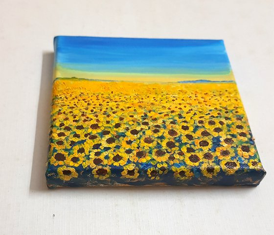 Sunflower fields, Sunflowers for peace