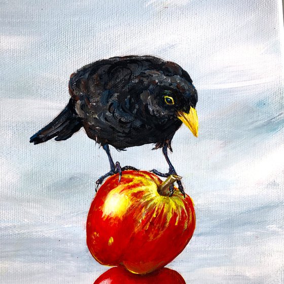Blackbird and apples