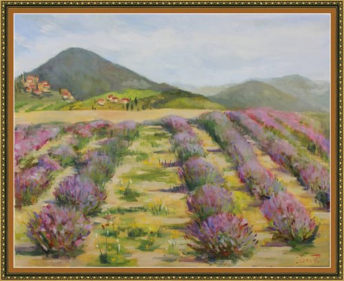 Lavender field by Yana Ros