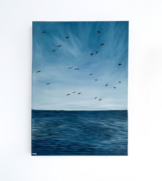 Birds Ocean