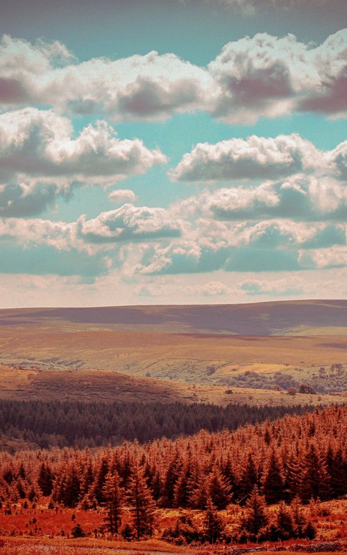 Dartmoor, 2022 - 01 - A4 by Kerry Gerdes