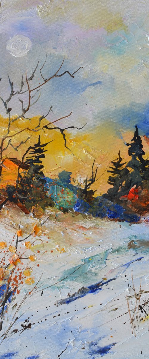 The happy colours of winter by Pol Henry Ledent