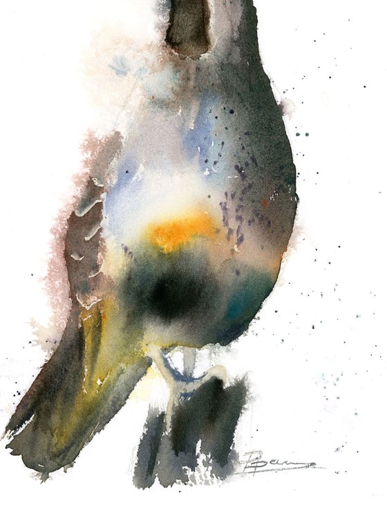 California quail