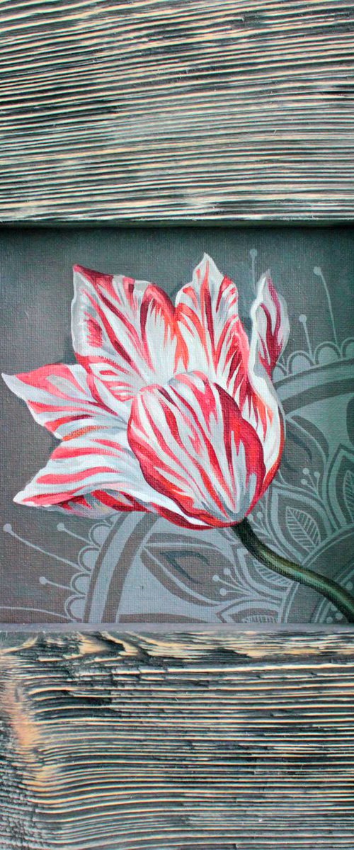 Tulip by Lesja Rygorczuk