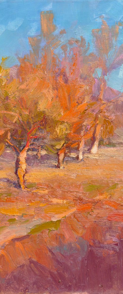 The Hot Warm Days by Alexander Shandor