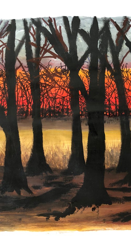 Sunset through the Trees by Alan Horne Art Originals