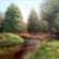 Meadows2 by Vishalandra Dakur