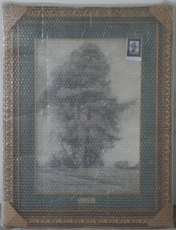 Pine and Spruce
