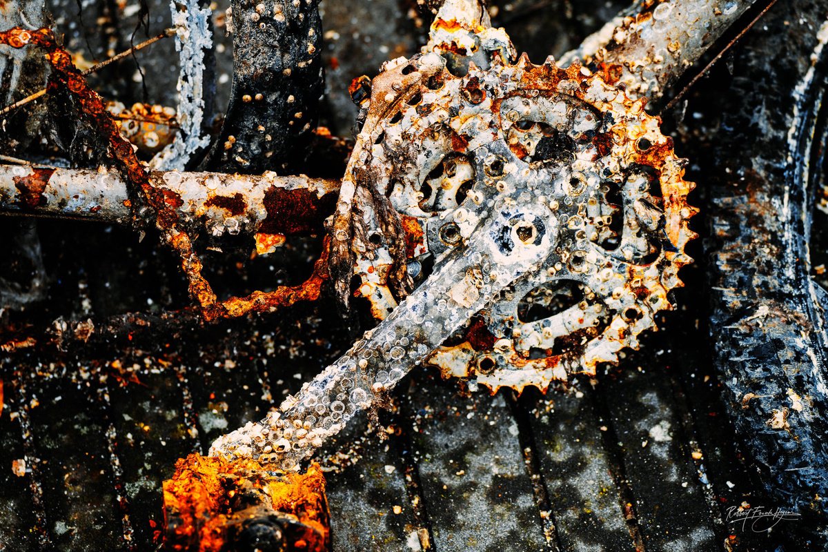 Photorealistic Still Life Photograph By Robbert Frank Hagens, 35 X 24", Bicycle Taken By The Sea Ii | 2023, Original Artwork