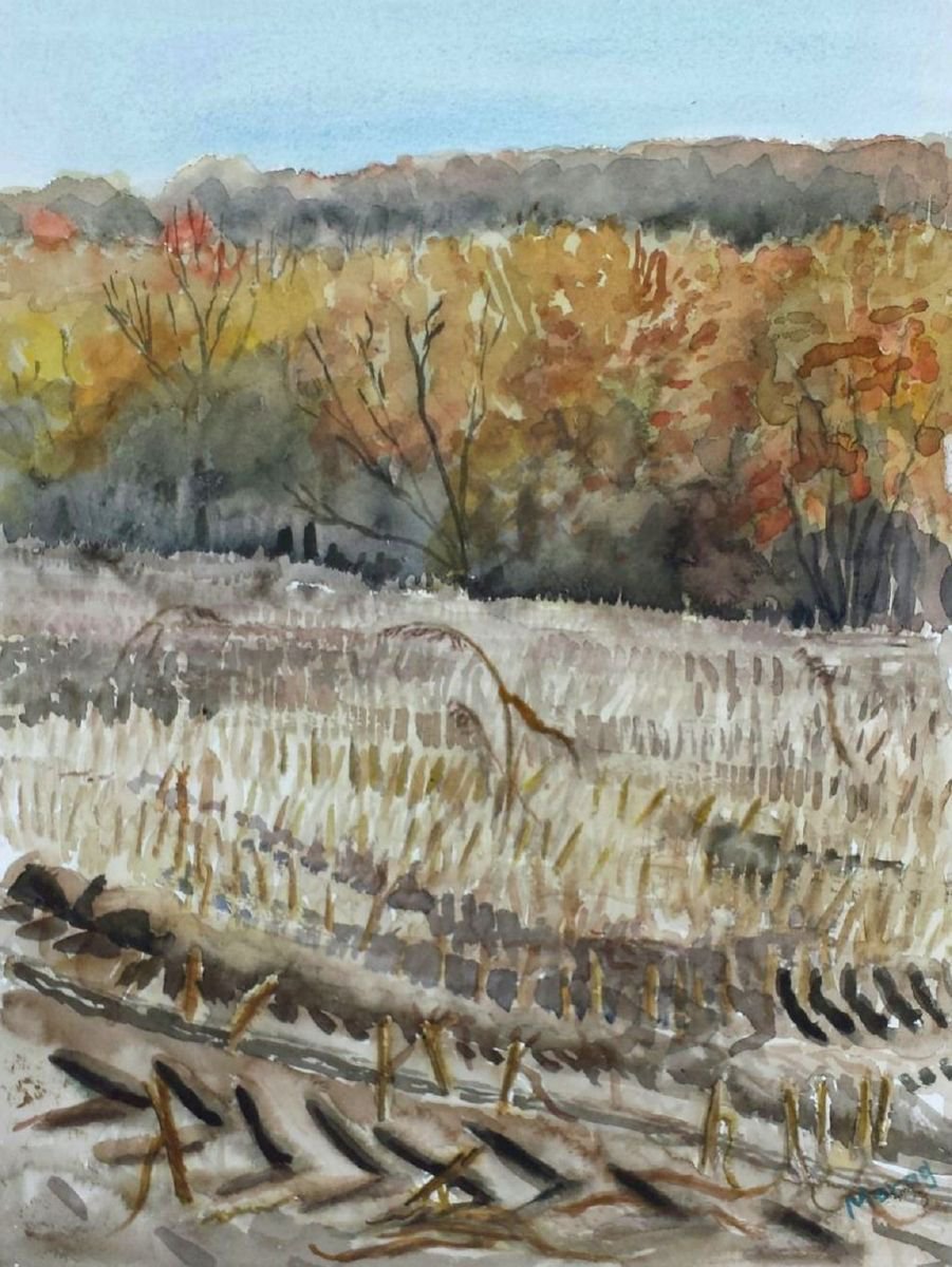 Impressionistic Landscape Watercolour By Morag Paul, 20 X 24", After The Corn Harvest, Original Artwork