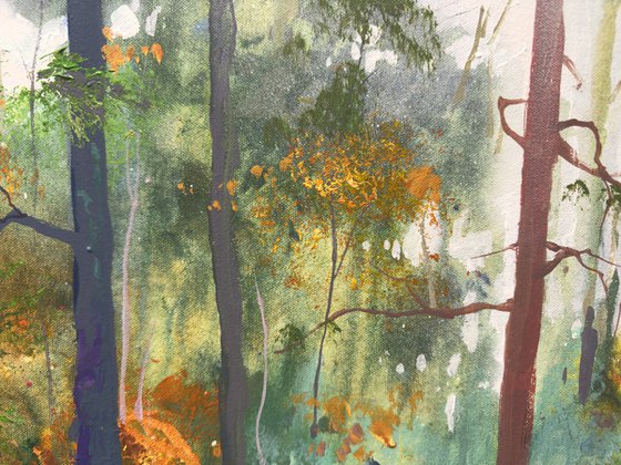 Road through the Forest 18
