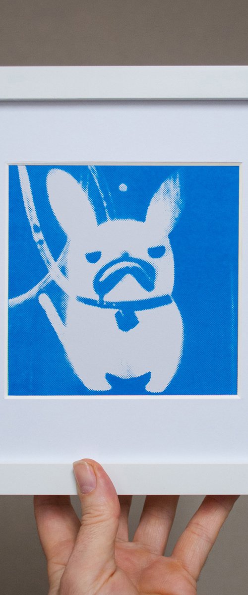 'Polar' French Bulldog (small framed artists proof) by AH Image Maker