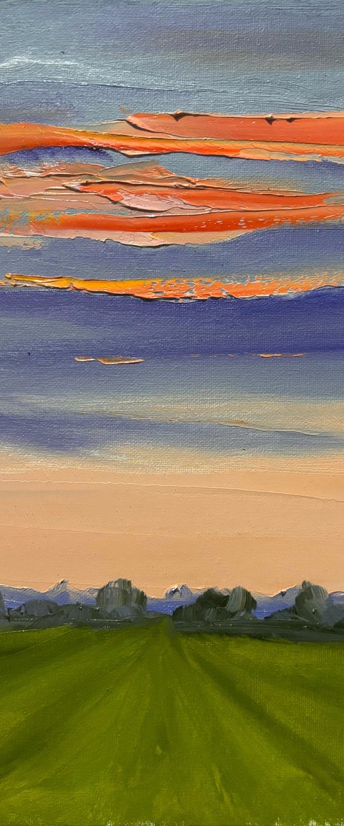 Sunset over the field. Plein air by Dmitry Fedorov