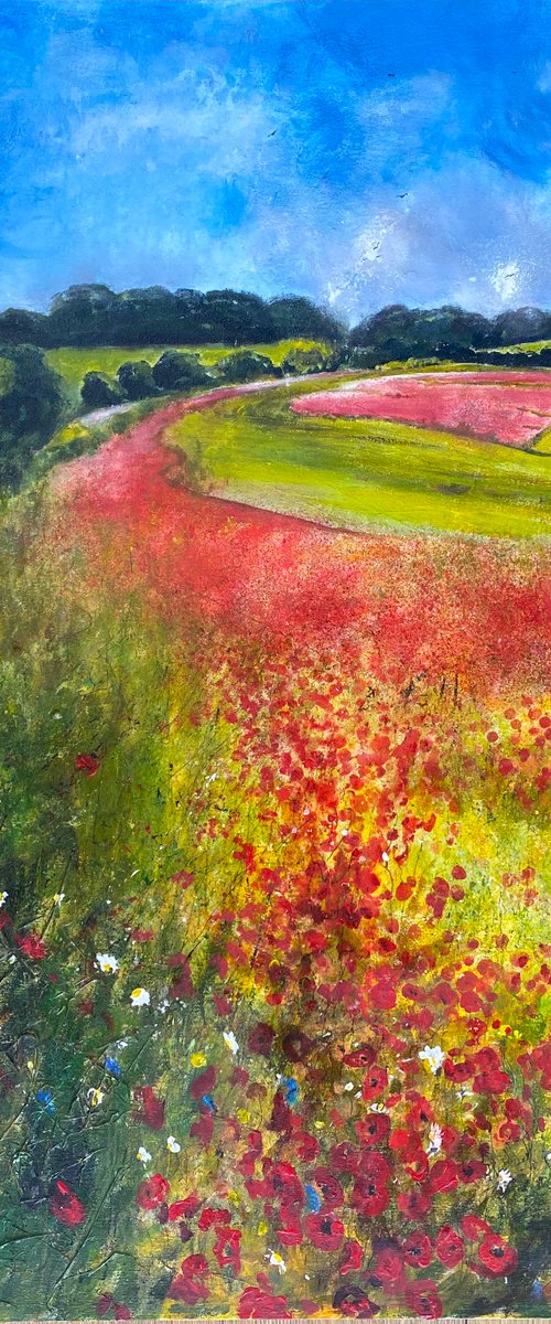 Poppy Fields Mid Summer by Teresa Tanner