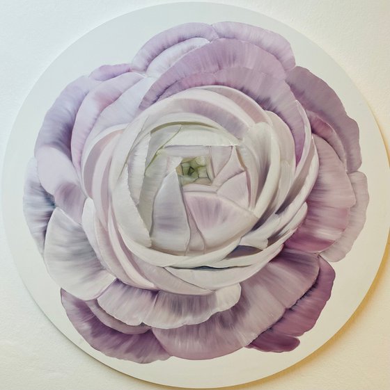 Petals of Light spring flowers blossoms peony
