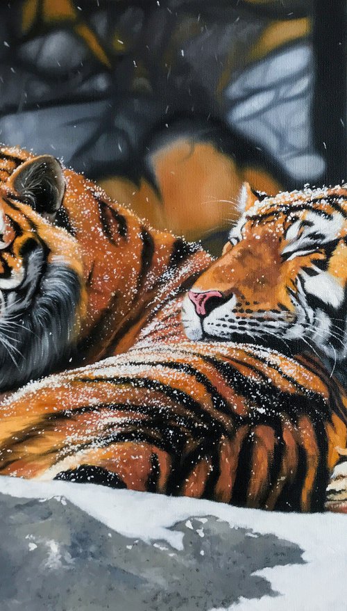Love of the Amur tigers by Kakajan Charyyev