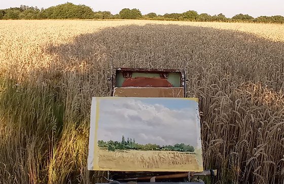 A field behind gardens / ORIGINAL oil painting. Plain air summer landscape ~ 14x10in (35x25cm)