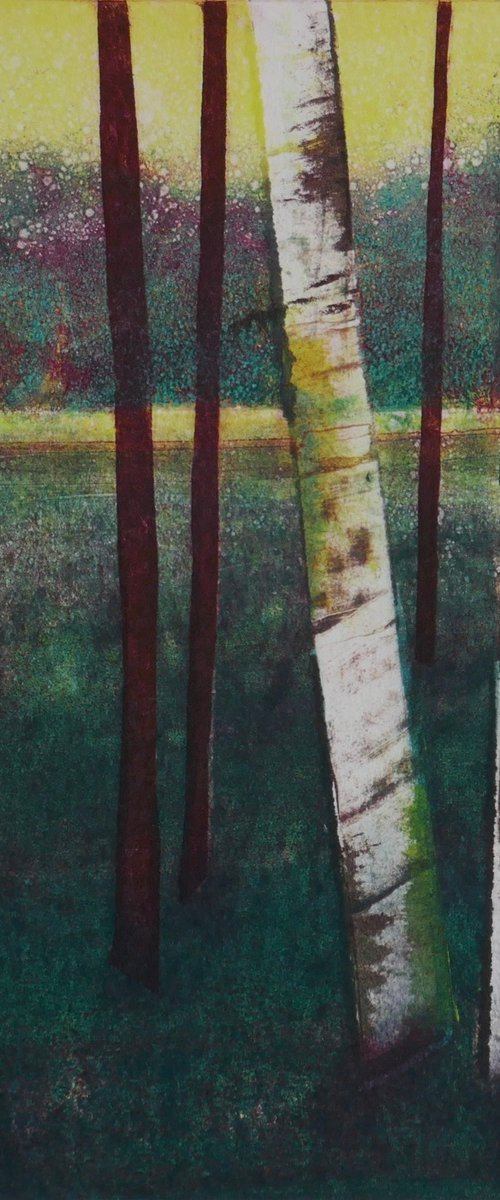 Edge of a Wood by Sue  Roe
