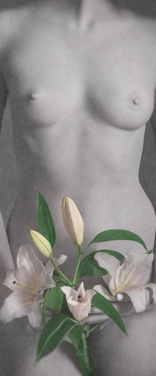 Lily - Art Nude by Peter Zelei