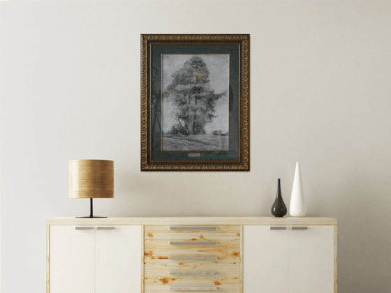 Pine and Spruce